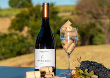 Rótulos premiados no Brasil e no mundo  