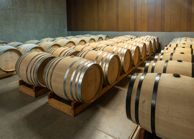 Desvendando os segredos da viticultura e vinificação 