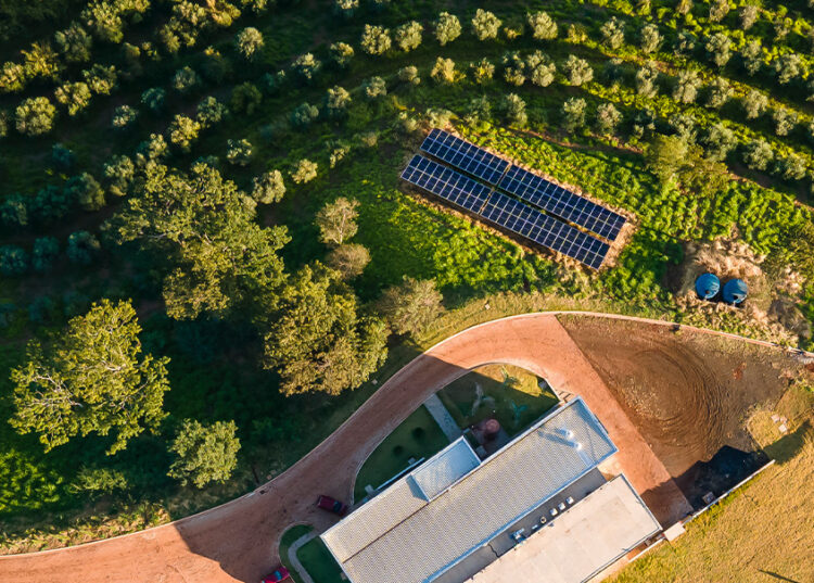 Semeando sustentabilidade, colhendo o futuro