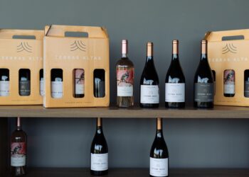 Para presentear e surpreender: onde encontrar os vinhos Terras Altas? 