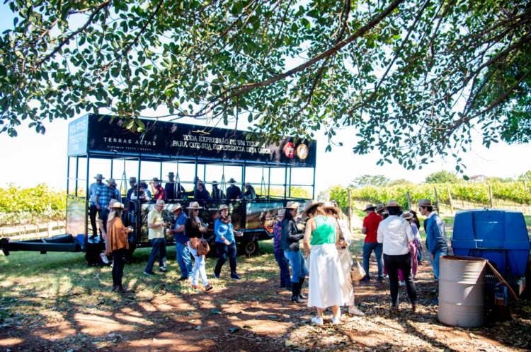 Vindima, a Festa da Colheita e as novidades para a edição de 2024  