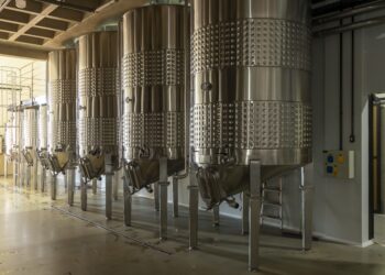 O retorno do Wine Tour: viva essa experiência marcante! 