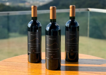 A revolução do Cabernet Sauvignon em 2025: Terras Altas renova a tradição com rótulo inovador