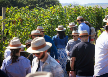 Terras Altas celebra a colheita com mais uma edição inesquecível da Vindima 