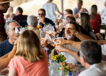 Vindima na Terras Altas: as novidades para a edição de 2025 