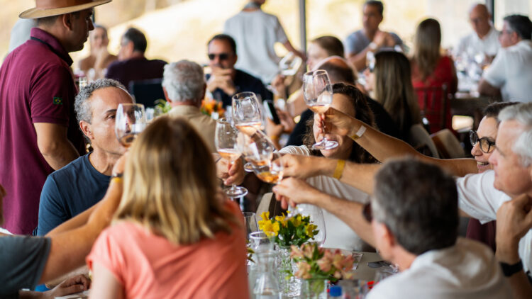 Vindima na Terras Altas: as novidades para a edição de 2025 