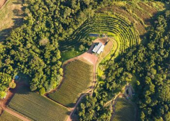 Nossa tradição é mudar as tradições 