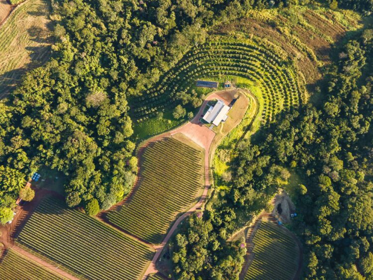 Nossa tradição é mudar as tradições 
