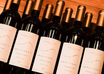 Amplitude 25 Cabernet Franc: a elegância que completa a experiência Terras Altas