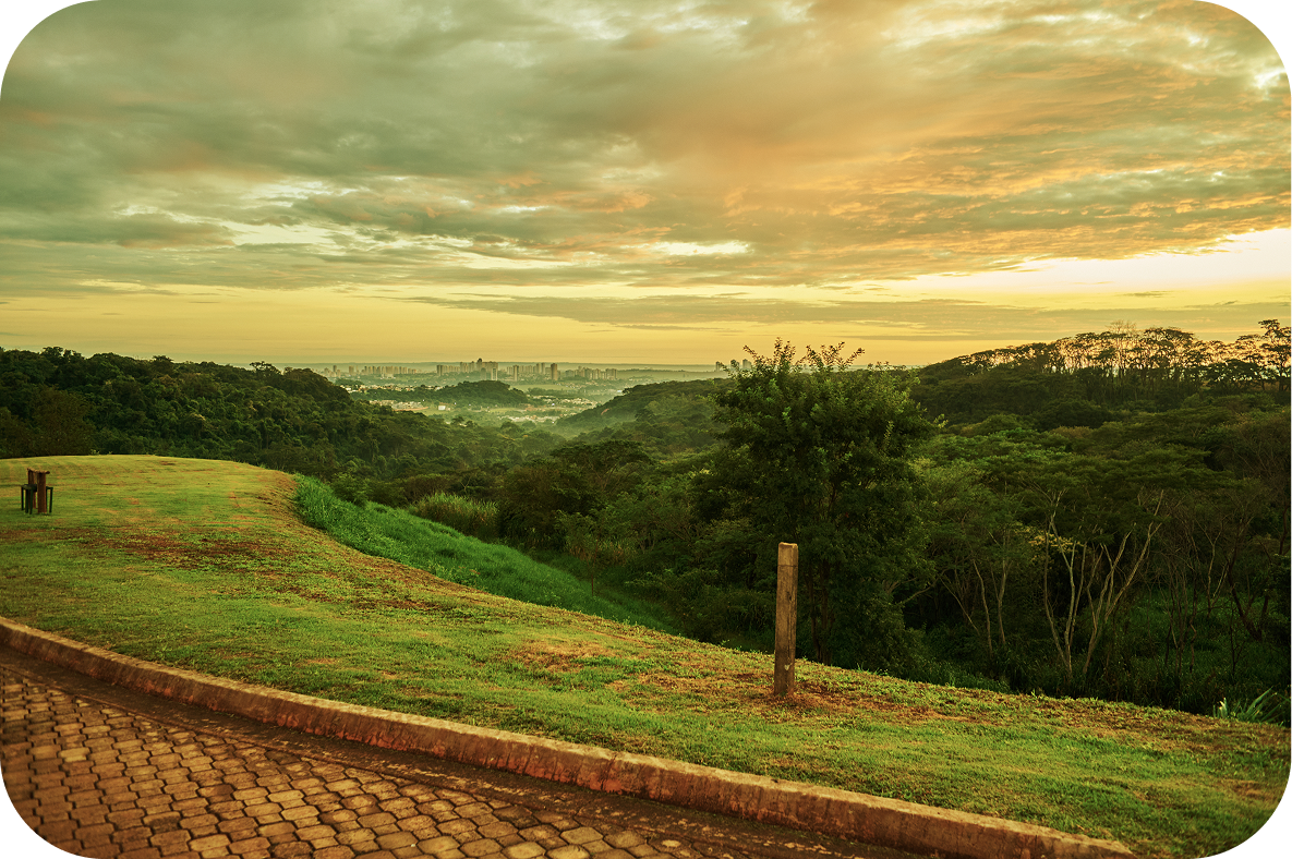 Vinícola Terras Altas