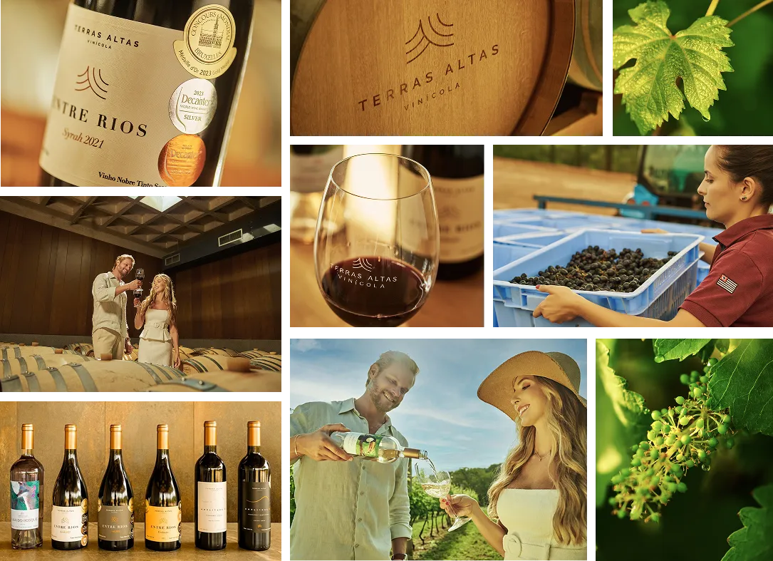 Galeria de fotos terras altas