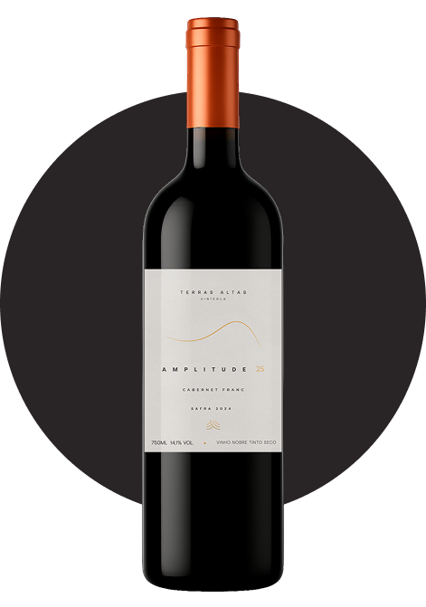 Vinho Entre Rios Evolução Syrah