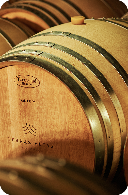 Produção vinho Terras Altas